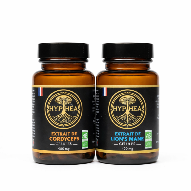 HYPHEA - Duo focus étude - extrait