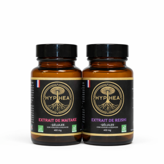 HYPHEA - Duo Harmonie - extrait