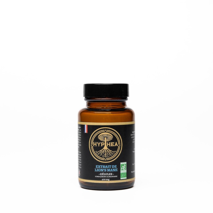 HYPHEA - Lion's Mane extrait