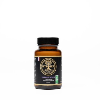 Extract - Reishi