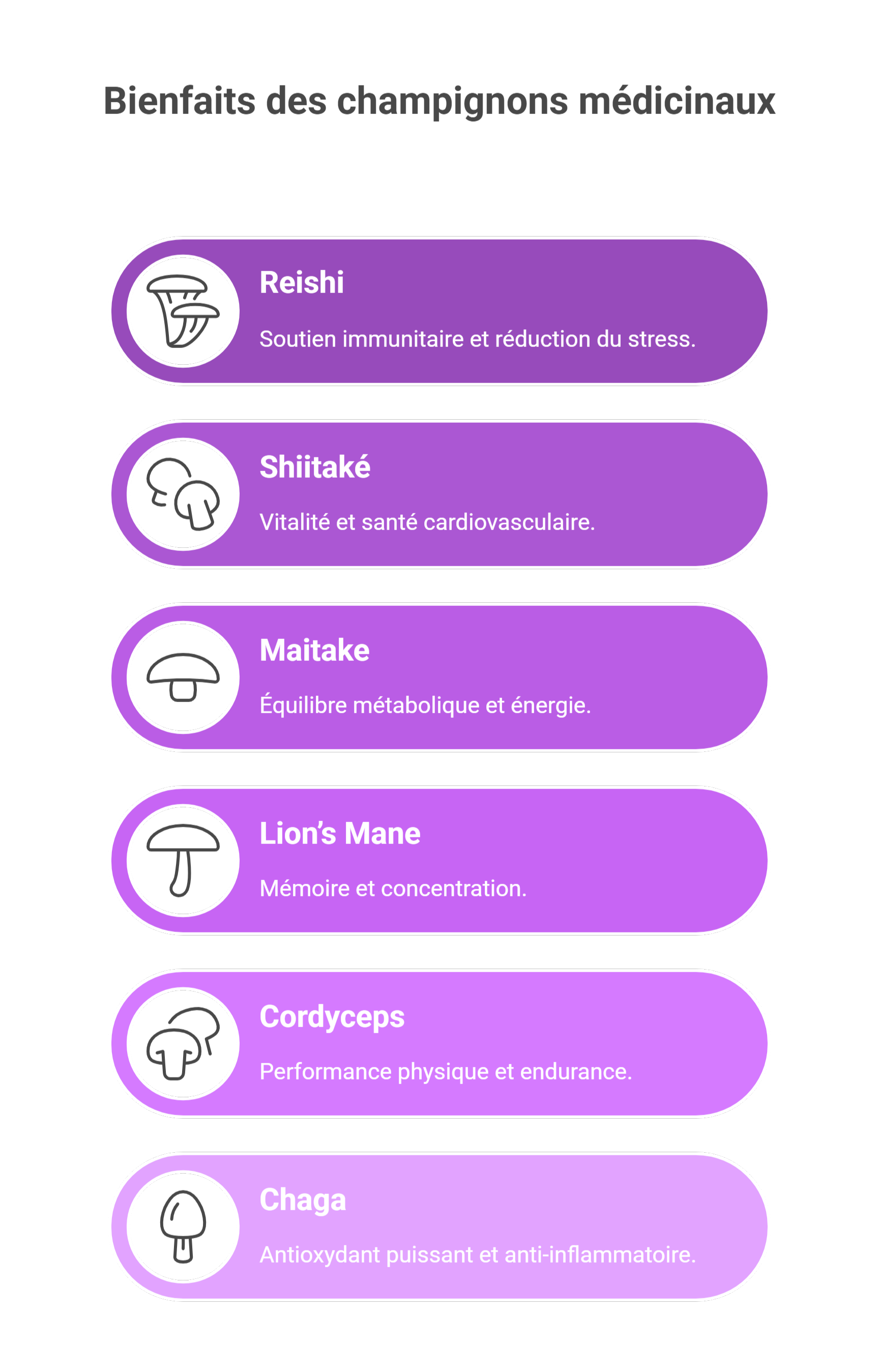 Infographie claire présentant les bienfaits des champignons médicinaux comme le Reishi, la crinière de lion, le Chaga et le Cordyceps sur la santé.