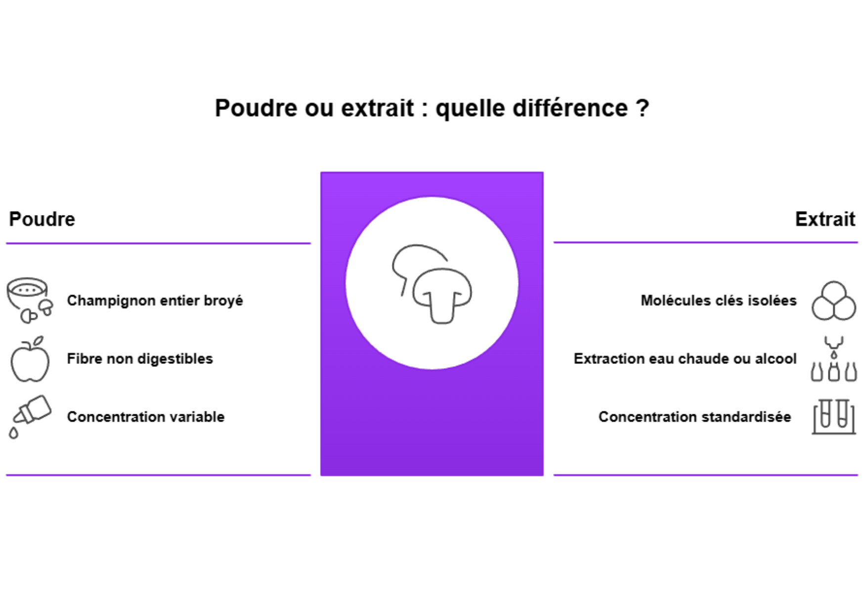 Infographie expliquant la différence entre poudre de champignon et extrait concentré
