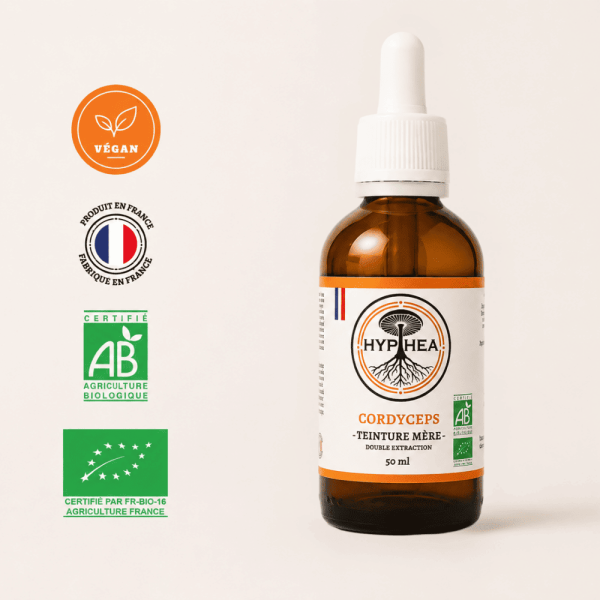 Teinture mère de Cordyceps HYPHEA 50 ml bio, double extraction et fabrication française
