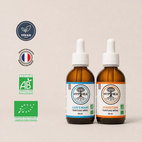 Duo Focus Études HYPHEA avec teintures mères Lion’s Mane et Cordyceps 50 ml bio