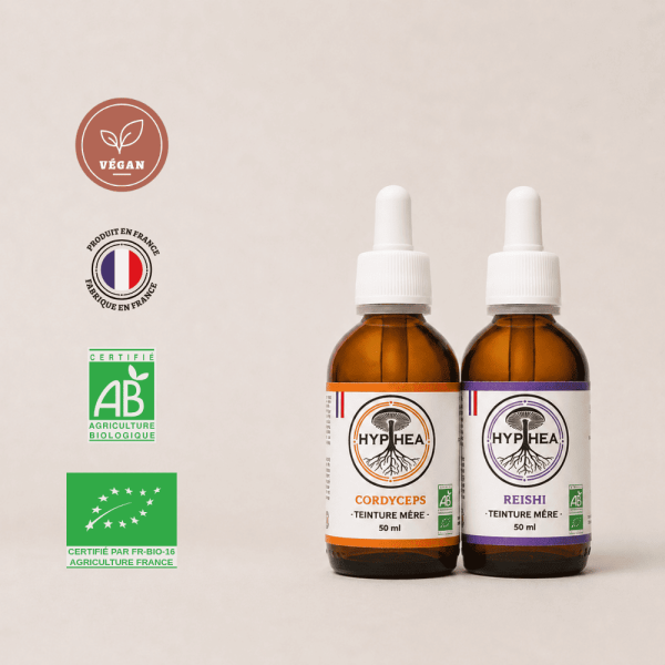 Duo Endurance HYPHEA avec teinture mère de Cordyceps et Reishi 50 ml bio